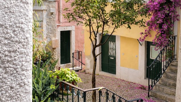 A narrow street with a pink building, a yellow building, and a tree with purple flowers. There is a staircase with a black railing.
