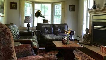 Televisión, chimenea, reproductor de DVD y libros