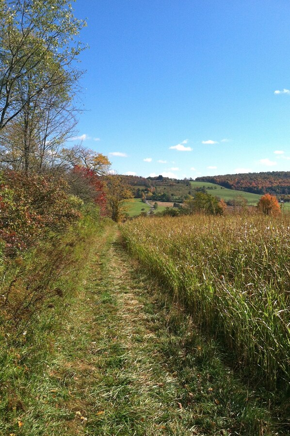 A rural path leading through a field with autumn foliage and a distant view of rolling hills.