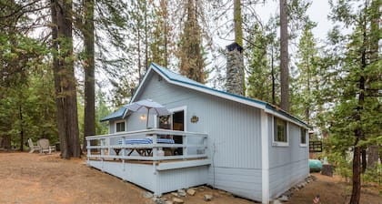 CUTE 2B/1B CABIN IN THE WEST VILLAGE ON MADRONE LANE