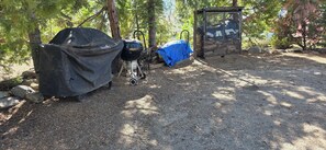 Property grounds - CUTE 2B/1B CABIN IN THE WEST VILLAGE ON MADRONE LANE (Shaver Lake)
