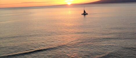 On the beach, sun-loungers, beach towels
