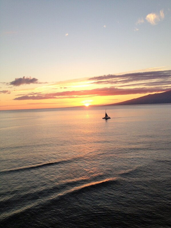 On the beach, sun-loungers, beach towels