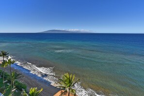 On the beach, sun-loungers, beach towels - TOP FLOOR! -  10% off for last-minute bookings - Beachfront - Penthouse! (kaanapali)