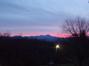 Unclassified image, 4 of 59, button