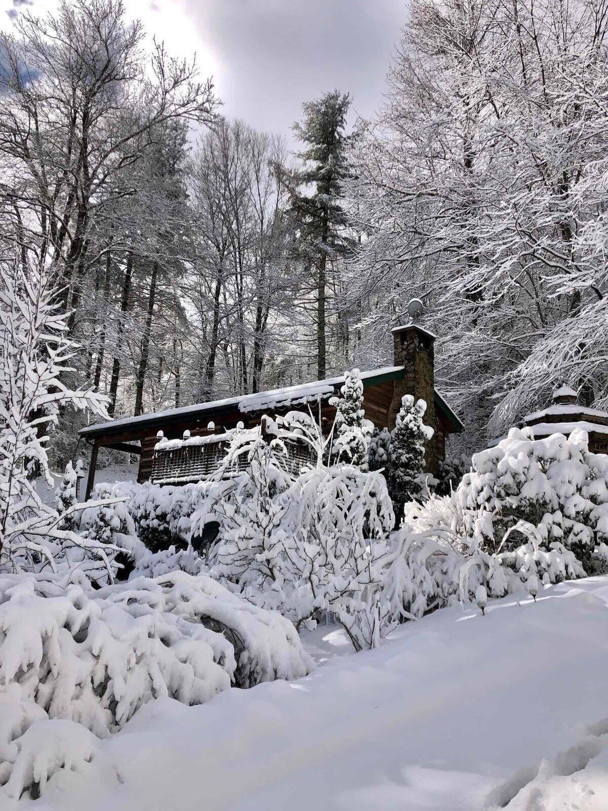 Ein mit Schnee bedecktes Blockhaus mit einem Steinkamin, umgeben von dichten Bäumen und schneebedeckten Sträuchern.
