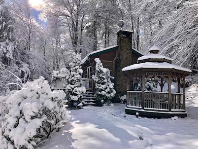 Cozy Cabin Mountain Retreat w/Beautiful Views! Fireplace Close to town. Walking.