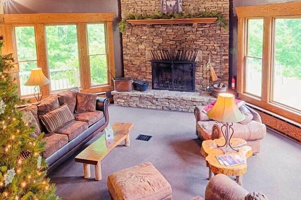 Smart TV, chimenea, videojuegos y libros