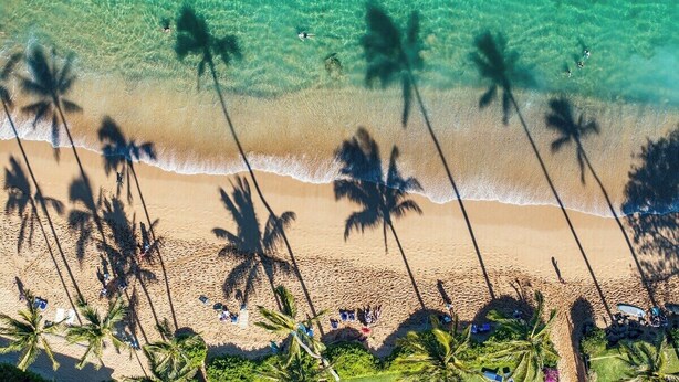 An aerial view of a beach with clear turquoise water, palm trees, and beachgoers.