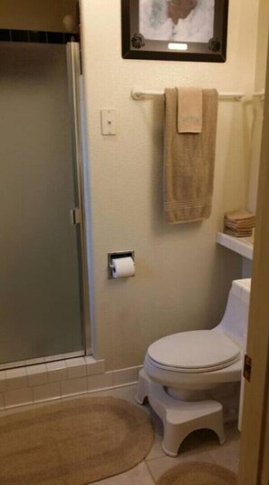 淋浴设施、吹风机、毛巾、肥皂