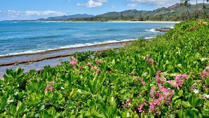 A coastal landscape with lush greenery and a beach. - Lanikai 232 “Seascape” | Ocean View | Central A/C | Sleeps 4 (Kapaa)