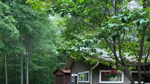 Un vialetto in giardino conduce a una casa con garage, circondata da vegetazione lussureggiante e piante fiorite.