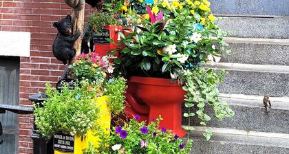 ASTONISHING 1 BEDROOM PARLOR, WELL APPOINTED, -SOUTH END BOSTON -BEST LOCATION