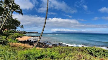 A tropical beach with palm trees, a rocky shoreline, and a clear blue sky.
