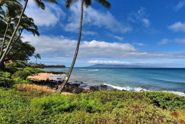 A tropical beach with palm trees, a rocky shoreline, and a clear blue sky.