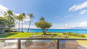 Une propriété située en bord de mer, dotée d’une terrasse, de palmiers et offrant une vue sur l’océan.