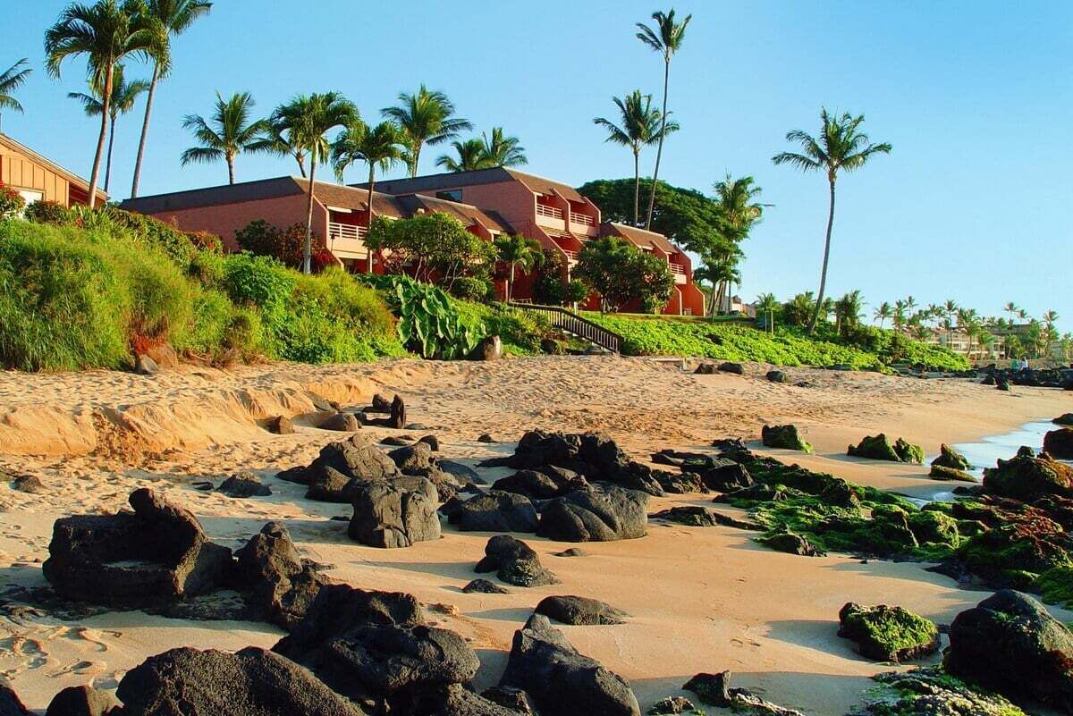 Un hôtel situé en bord de mer, composé de plusieurs b âtiments à étages, avec une plage de sable parsemée de rochers et bordée de palmiers.