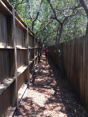 Property grounds - Great Location. Seaside/Old Seagrove, Private Pool,  3 Min Walk to Beach. (Santa Rosa Beach)