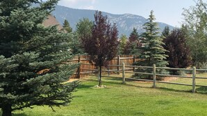 A fenced outdoor area with a grassy field, trees, and a mountain in the background. - Your Base Camp for Big Sky’s Best Runs. Plan your Montana Adventure today! (Big Sky)