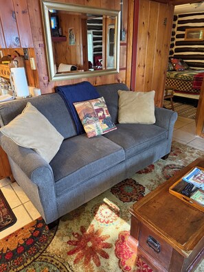 Ein gemütliches Zimmer mit einem grauen Sofa, einer Holzkommode und einem gemusterten Teppich.