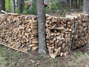 A stack of firewood against a tree, with a vehicle and greenery in the background.