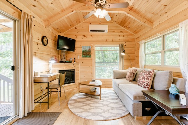 Smart TV, fireplace