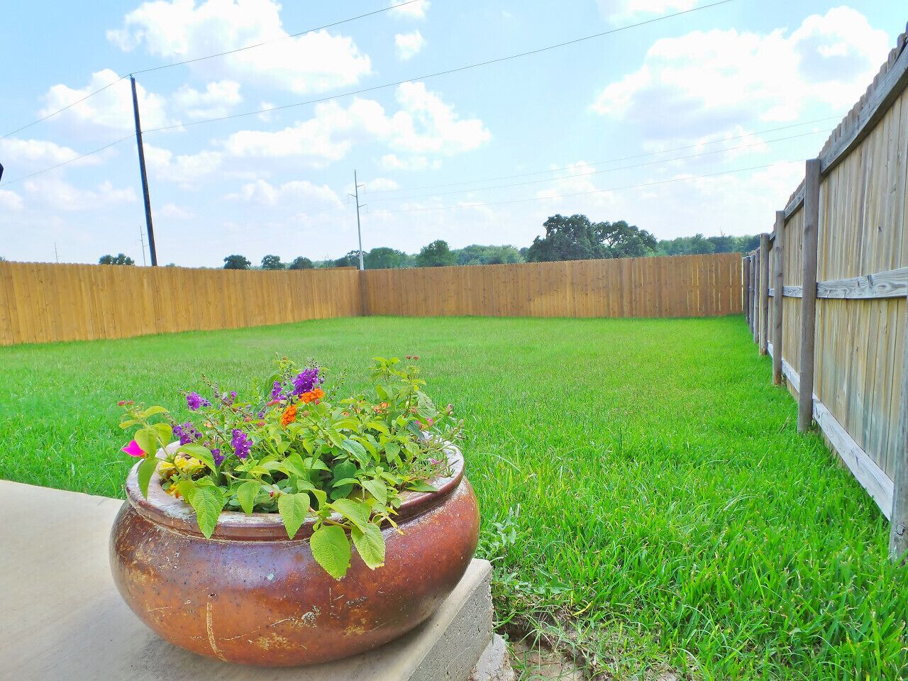 Parco della struttura