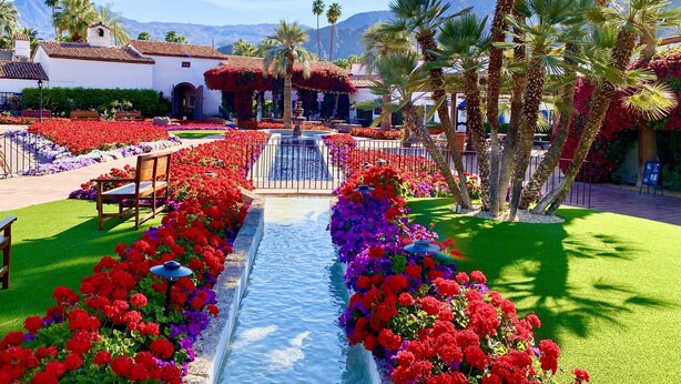 Un jardín con una fuente central, rodeado de coloridas camas de flores y palmeras.