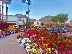 Overnattingsstedets uteområder