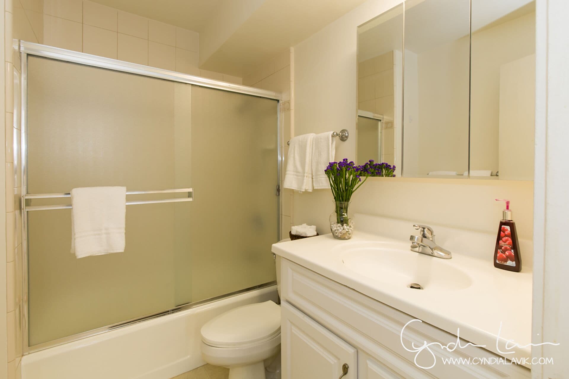 Combined shower/tub, hair dryer, towels, soap