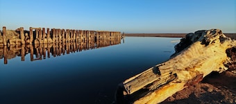 Beachside Aptos -- Quick Walk to Beach, Pet Friendly, WIFI, Washer & Dryer