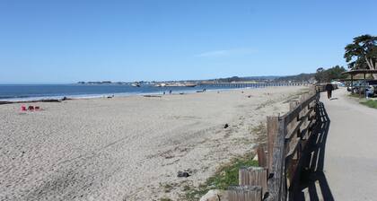 Beachside Aptos -- Quick Walk to Beach, Pet Friendly, WIFI, Washer & Dryer