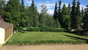 A well-maintained lawn with a wooden building, surrounded by dense evergreen trees.