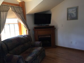 Smart TV, chimenea, reproductor de DVD y libros 