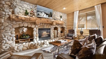 TV, fireplace, books