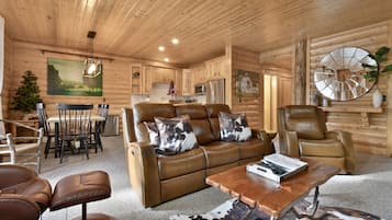 TV, fireplace, books