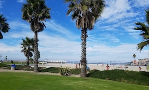 Sun loungers, beach towels