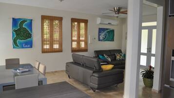 Smart TV, DVD player, video library