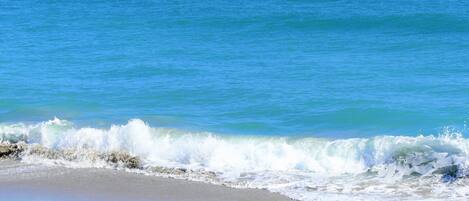 Plage à proximité, chaises longues, serviettes de plage