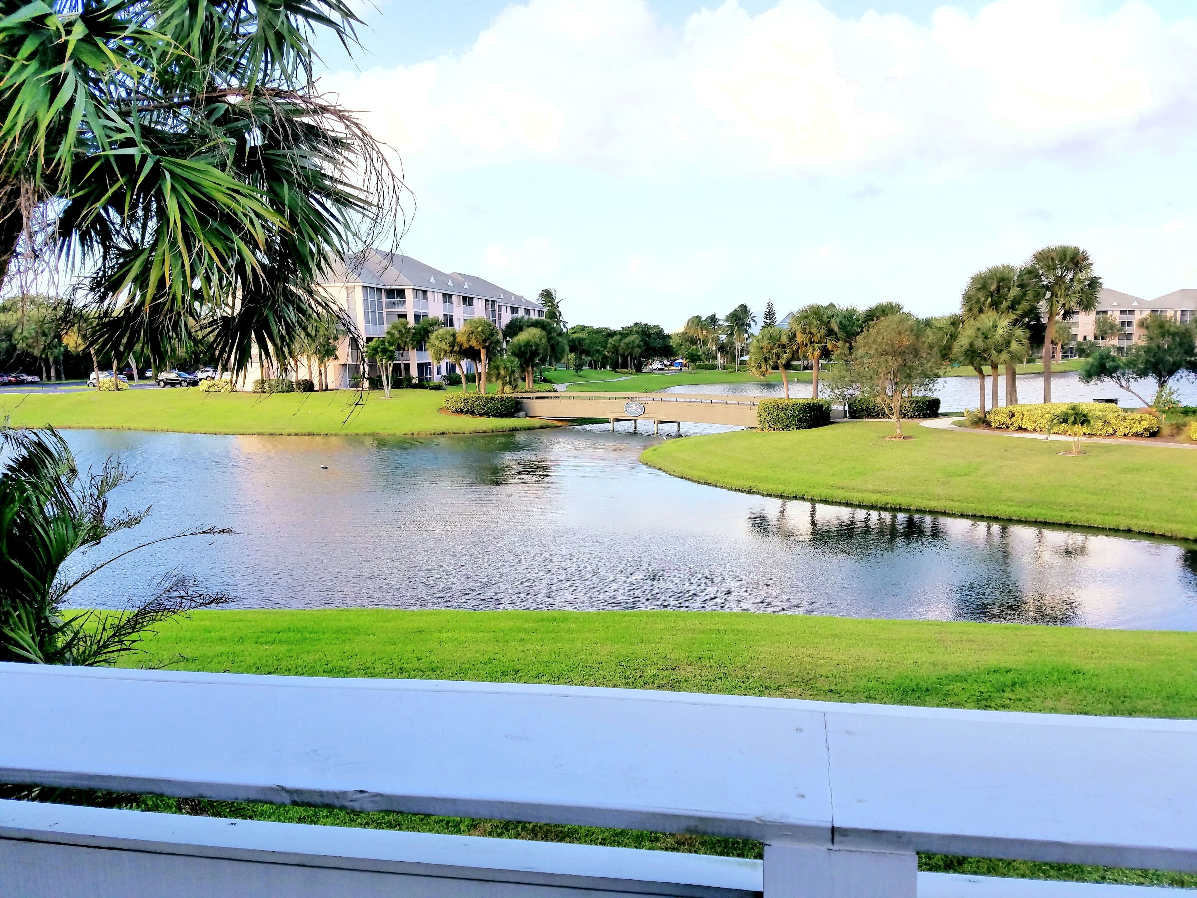 Un campo de golf con un estanque, palmeras y un puente.