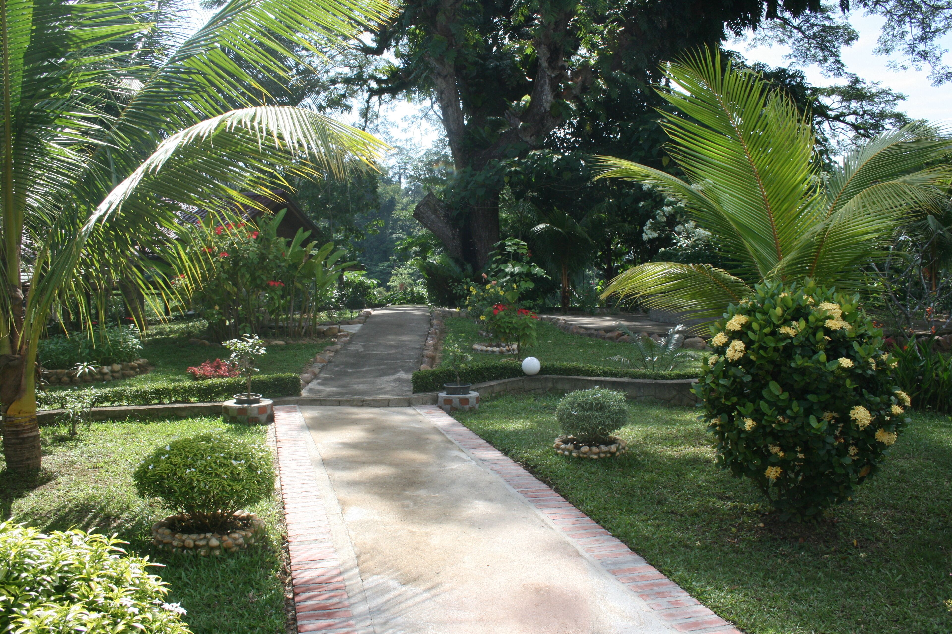 garden