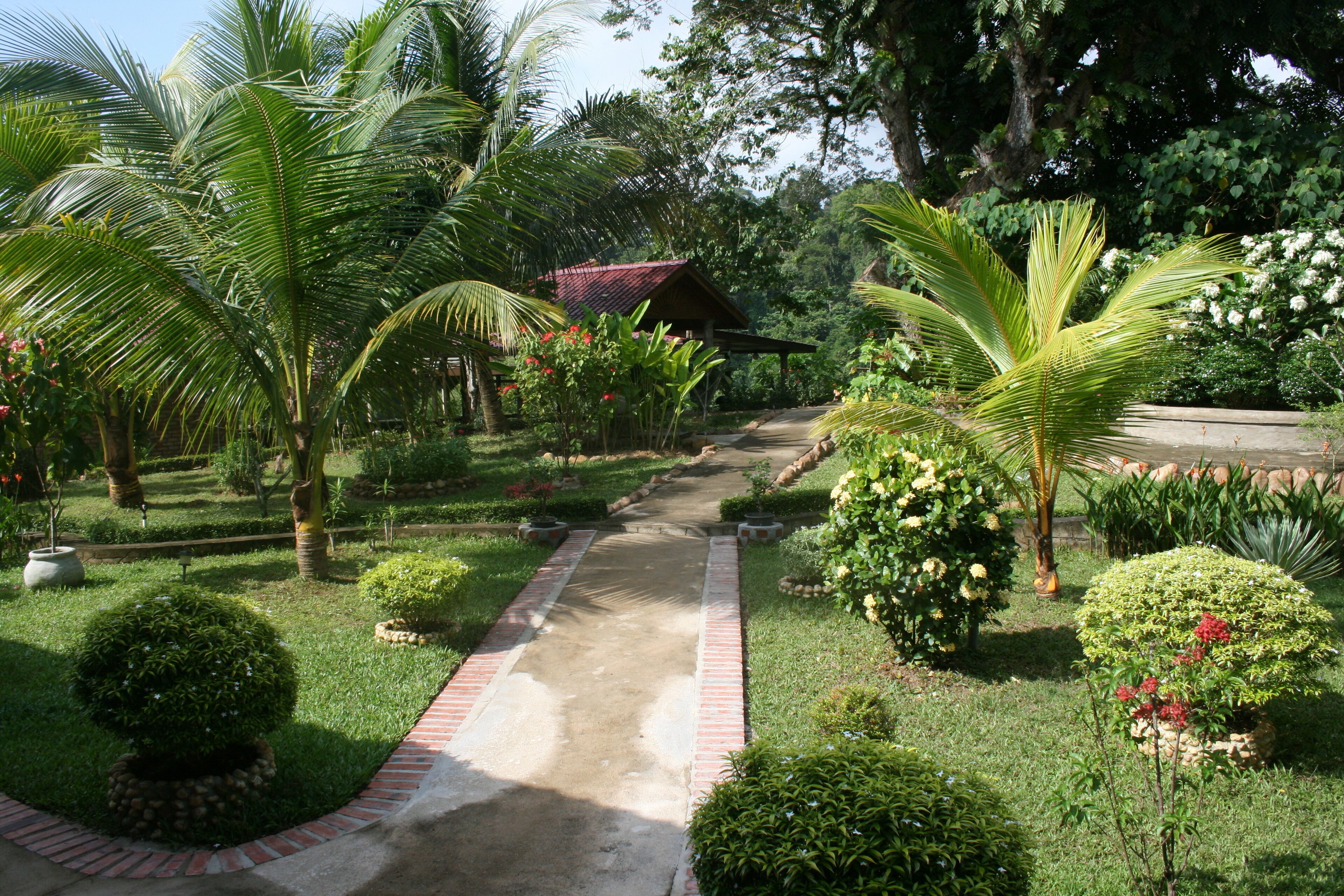 garden