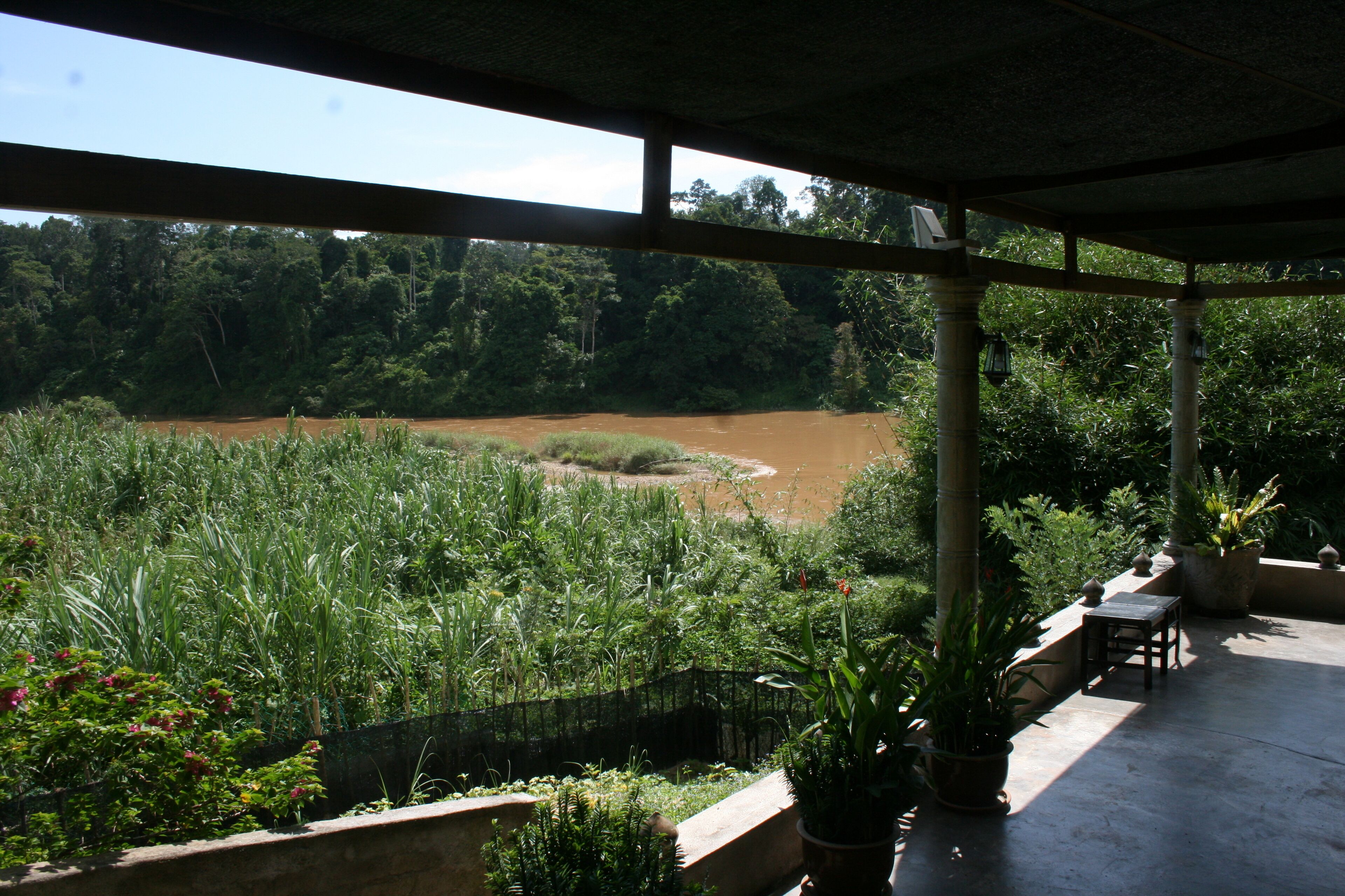 A covered outdoor area with a view of a river, surrounded by lush greenery and potted plants.