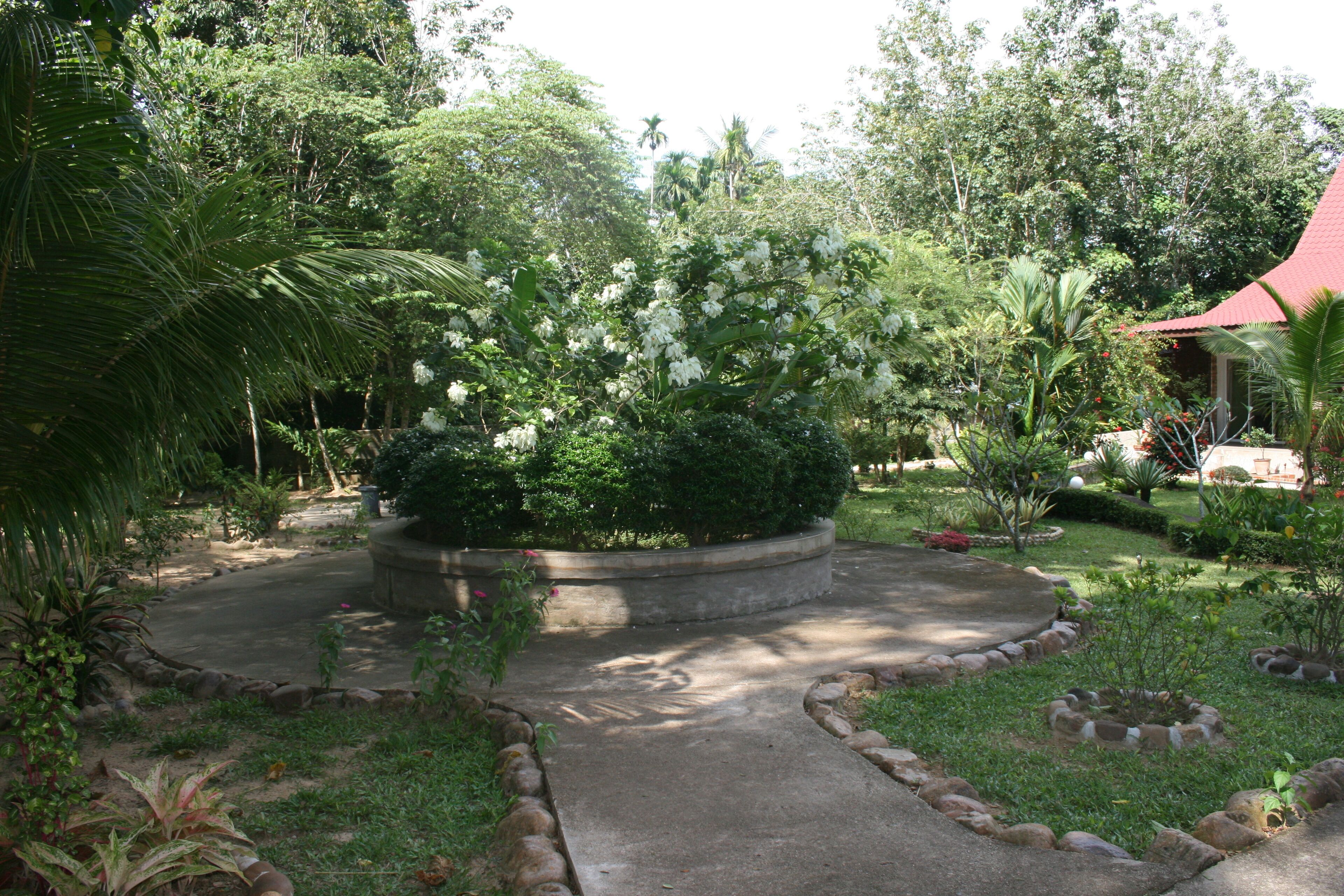garden view
