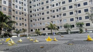 Un edificio de varios pisos con fachada uniforme, balcones y un patio empedrado con flores amarillas dispersas.