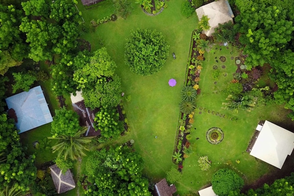 Jardín