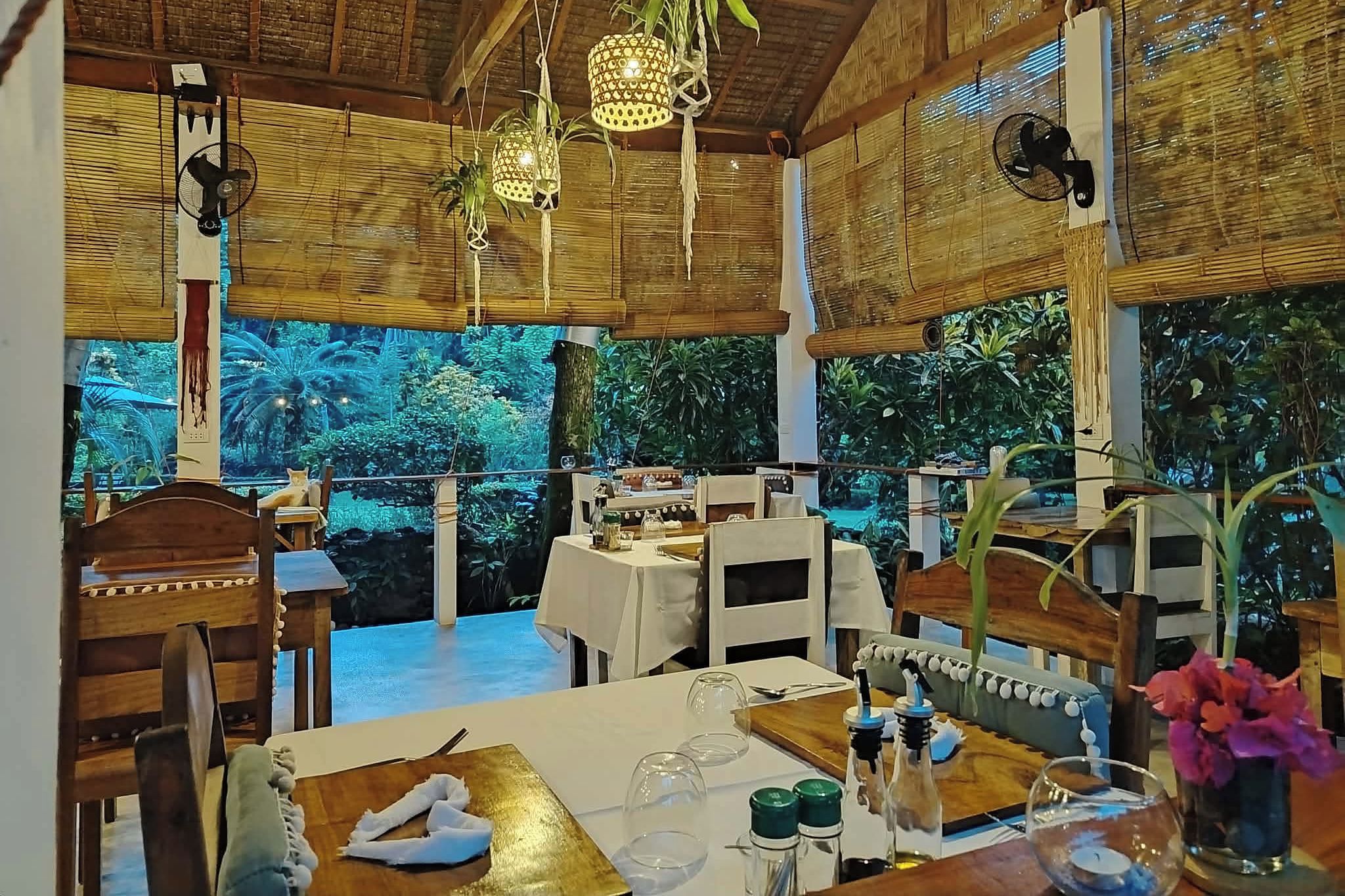 Un área de comedor interior con mesas y sillas, un ventanal con vistas a zonas verdes, y lámparas colgantes.