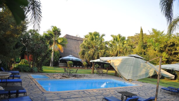Uma piscina com espreguiçadeiras e guarda-sóis, rodeada por vegetação e um terraço de pedra.
