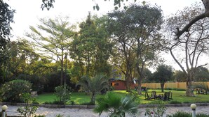 Um jardim ajardinado com um caminho pavimentado, área de estar e um edifício ao fundo.