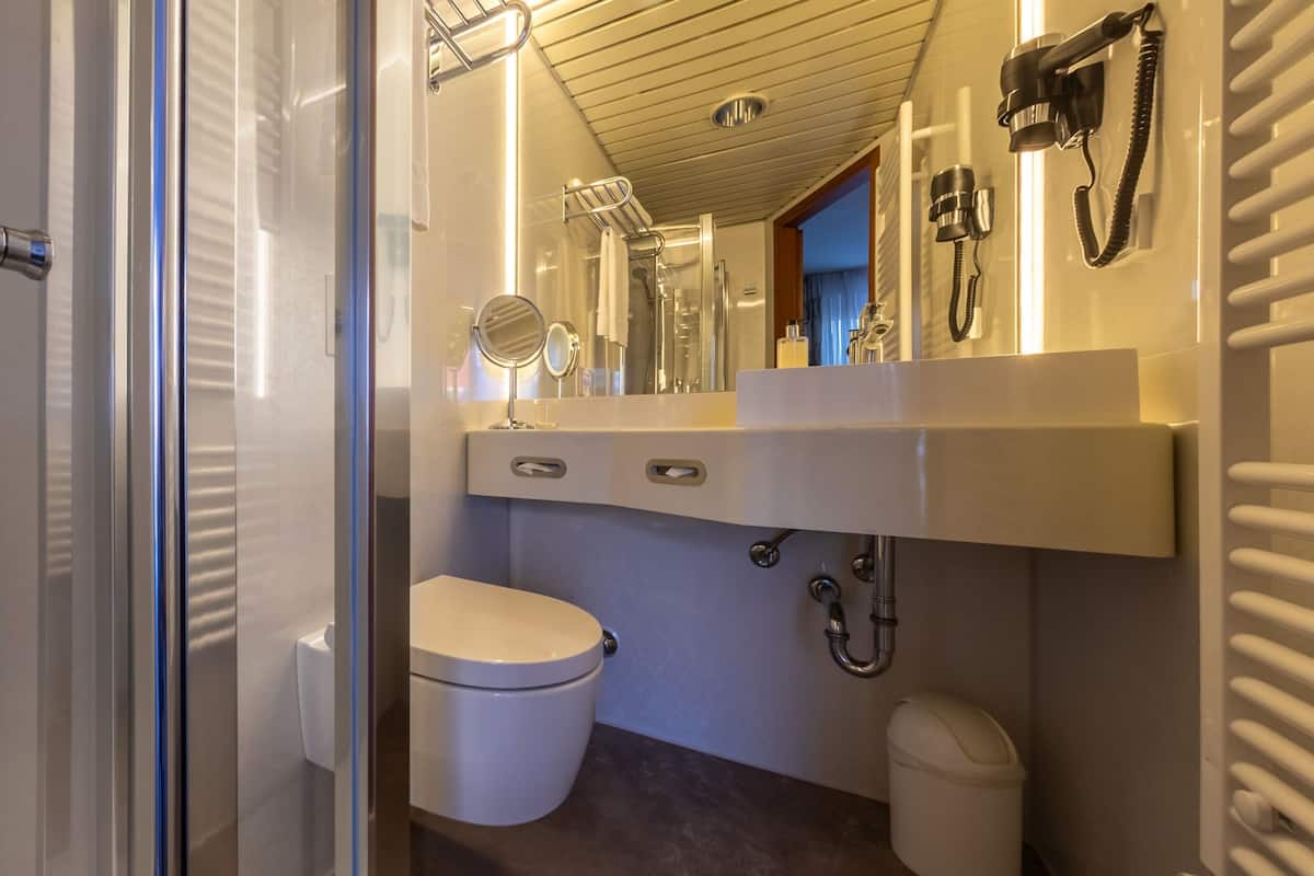 single room (plus) | bathroom | shower, free toiletries, hair dryer, towels